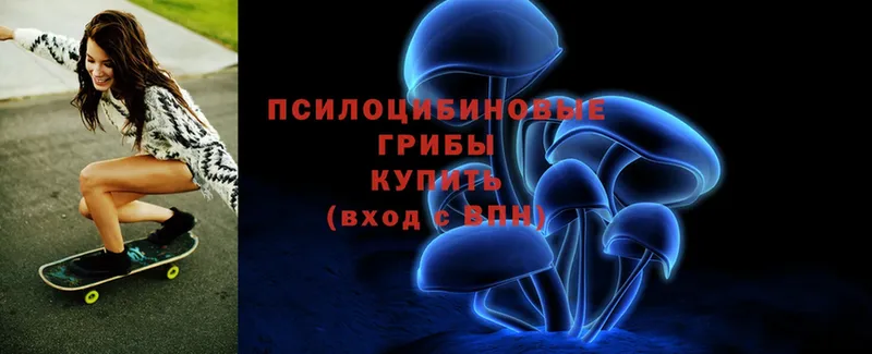 Галлюциногенные грибы Psilocybe  купить наркотик  Энгельс 